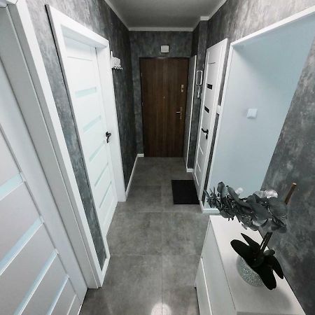 New Apartment - 300 M Town Hall - 3 Rooms - 7 People Wrocław Zewnętrze zdjęcie
